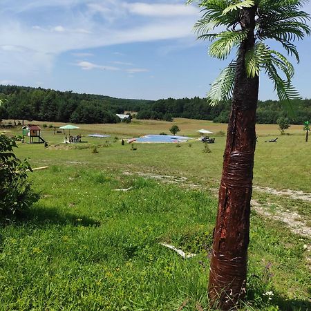 Stadnina Koni Tarka Zwierzyniec Buitenkant foto
