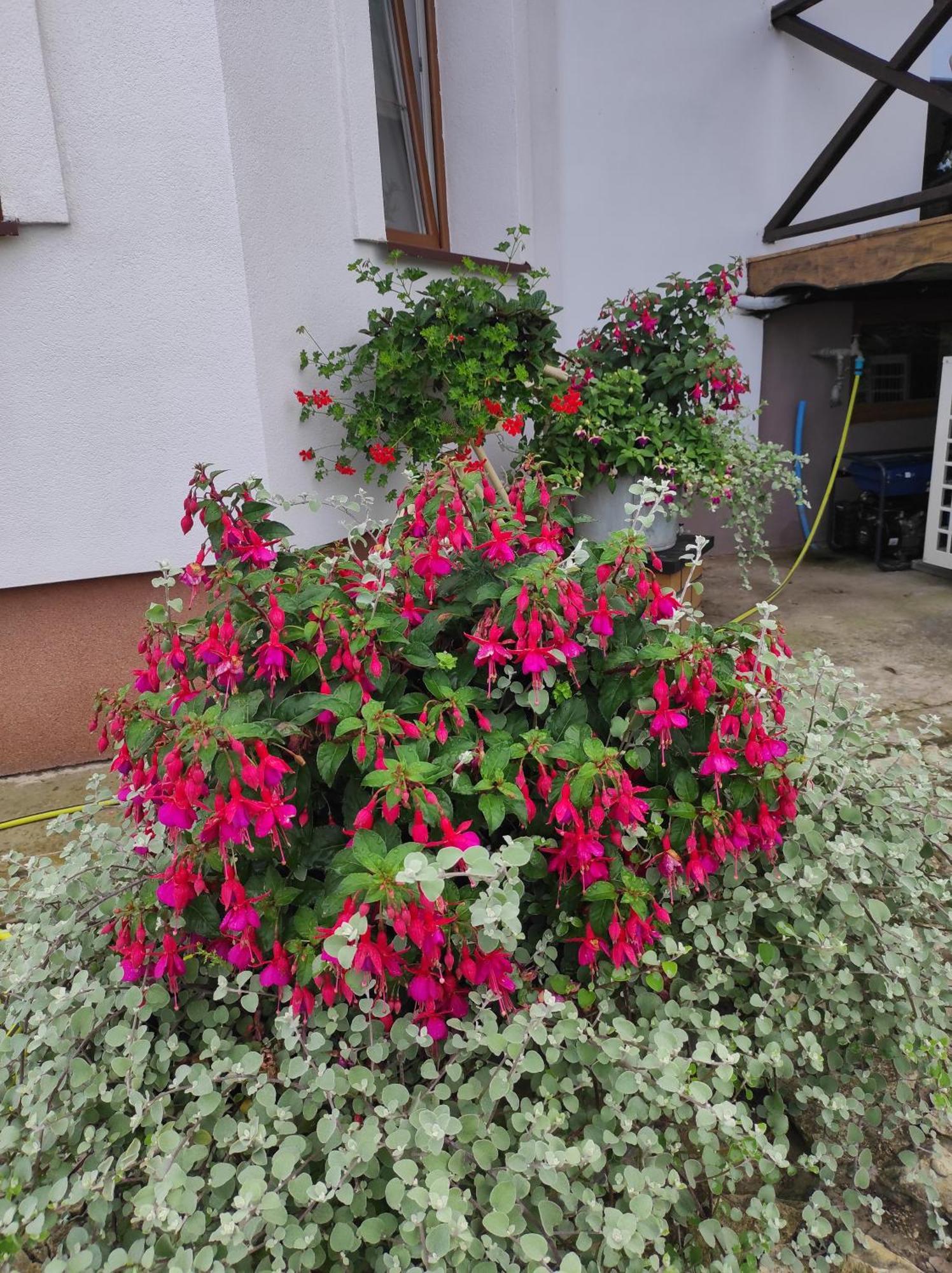 Stadnina Koni Tarka Zwierzyniec Buitenkant foto