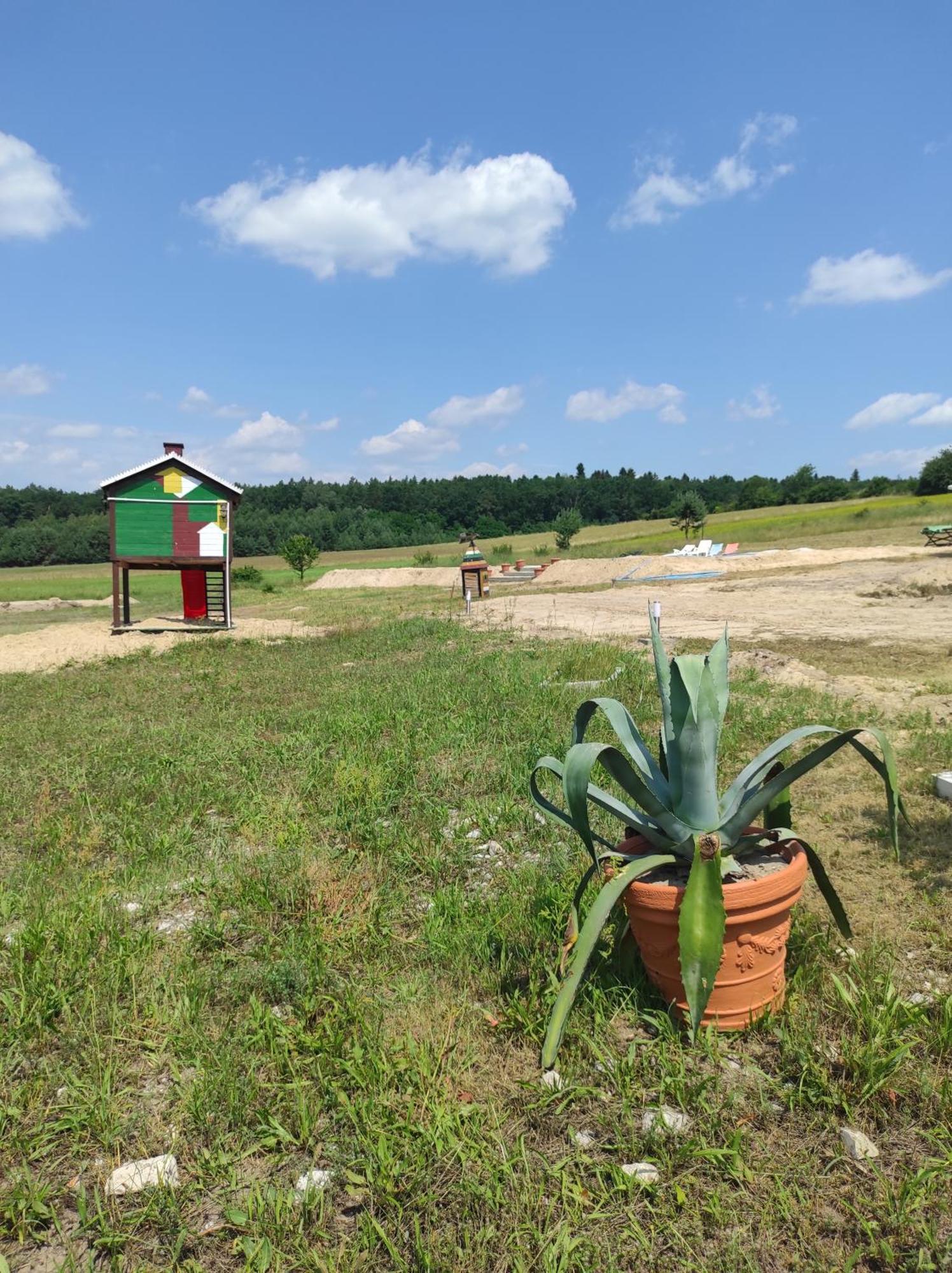 Stadnina Koni Tarka Zwierzyniec Buitenkant foto