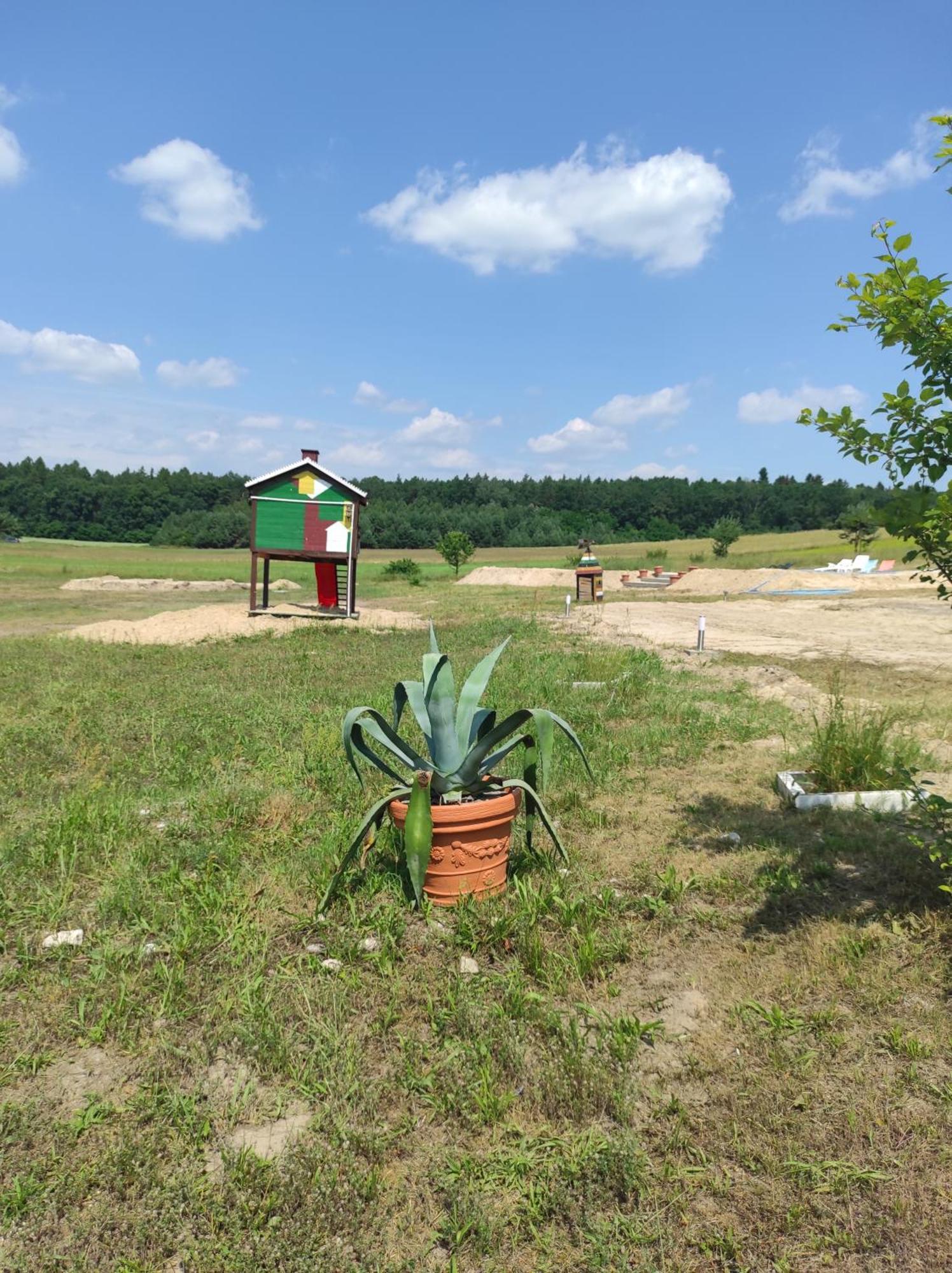 Stadnina Koni Tarka Zwierzyniec Buitenkant foto