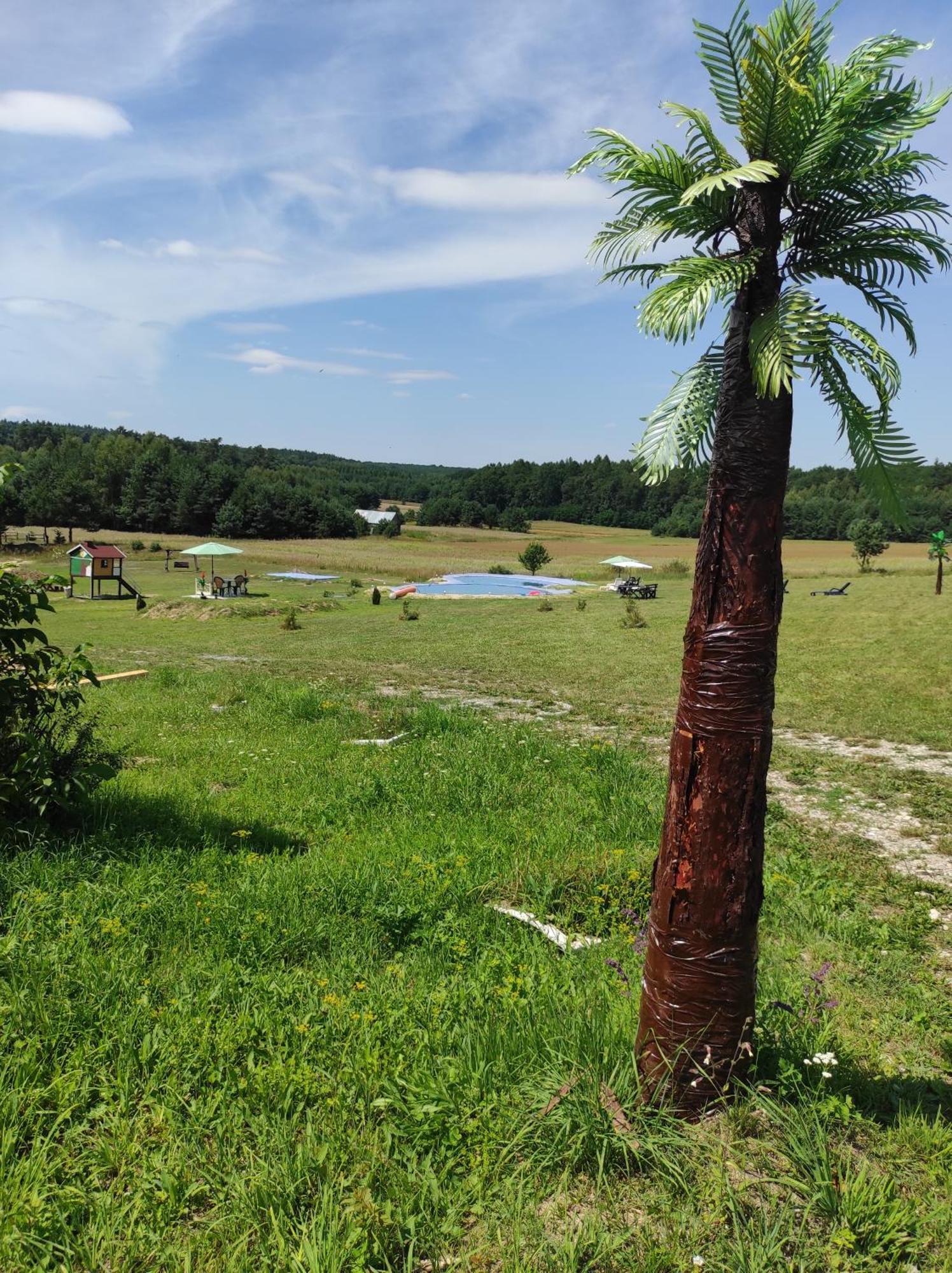 Stadnina Koni Tarka Zwierzyniec Buitenkant foto