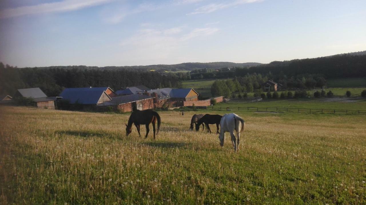 Stadnina Koni Tarka Zwierzyniec Buitenkant foto