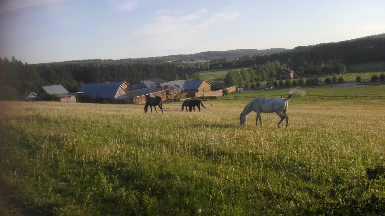 Stadnina Koni Tarka Zwierzyniec Buitenkant foto